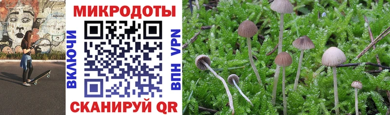 где купить наркотик  Ачинск  Псилоцибиновые грибы Cubensis 